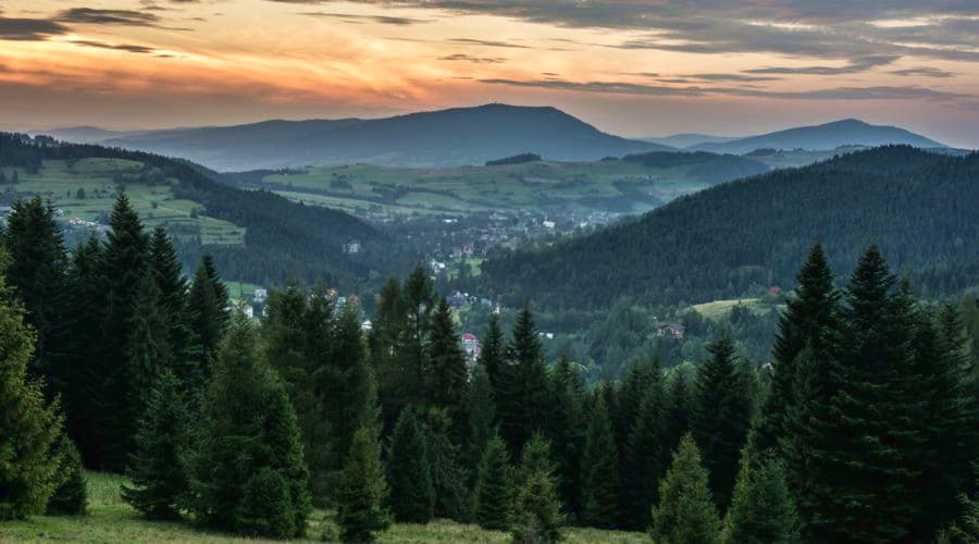 Wir bieten eine umfangreiche Auswahl an Fahrzeugen